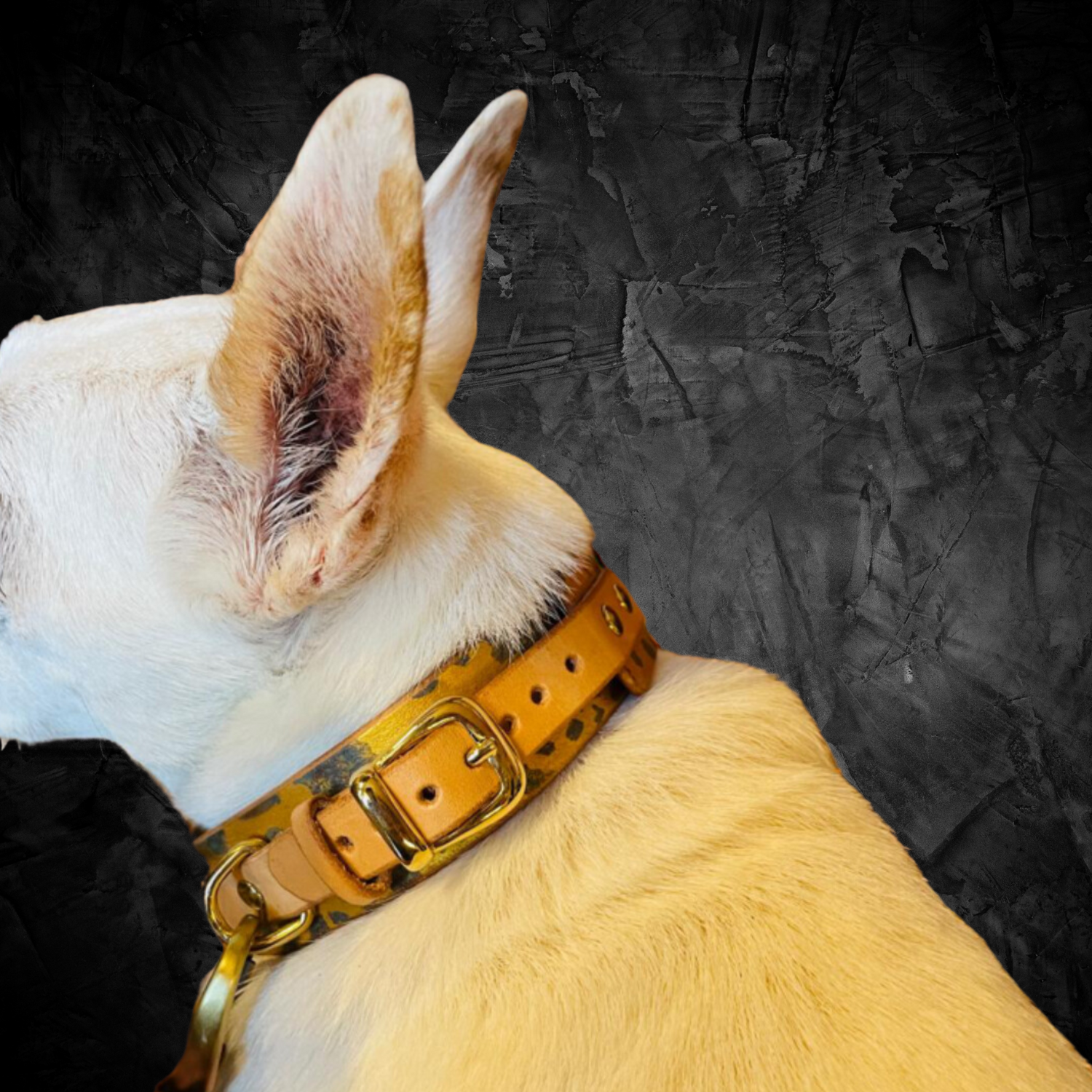 Accessori su misura per animali da SteamVoyage