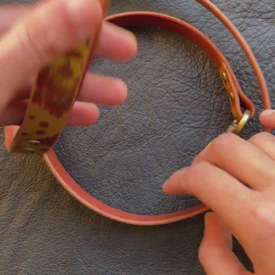 Video dimostrativo per guinzaglio per cane di piccola taglia in cuoio dipinto con fantasia steampunk di ingranaggi oro azzurro e marrone con gancio ottonato