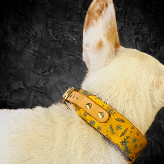steamvoyage-collare artigianale in cuoio per cane di taglia piccola con fantasia steampunk di ingranaggi oro marrone e azzurro e fibbia e gancio in acciaio dorato