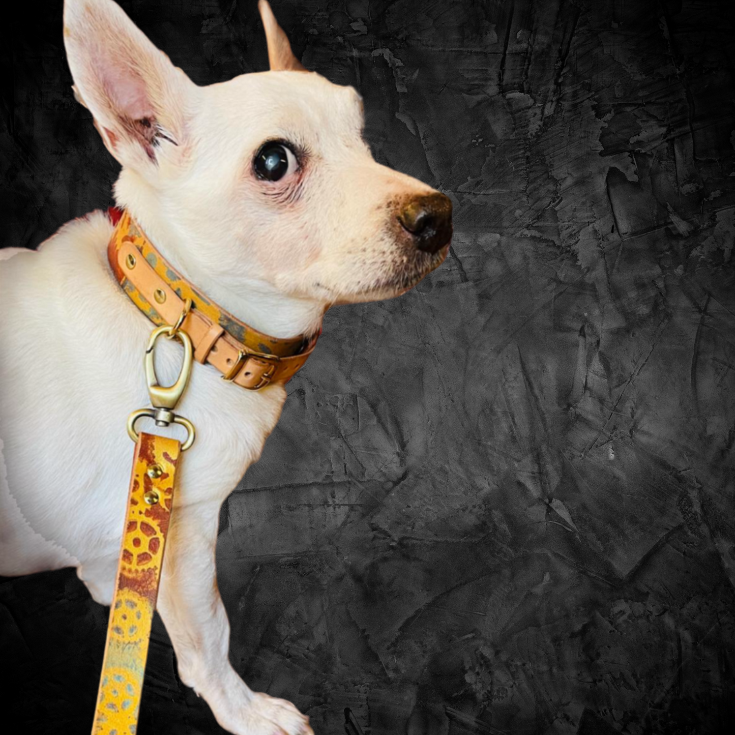 steamvoyage-collare artigianale in cuoio per cane di taglia piccola con fantasia steampunk di ingranaggi oro marrone e azzurro e fibbia e gancio in acciaio dorato