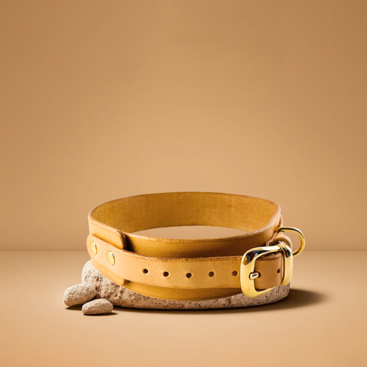 steamvoyage-collare artigianale in cuoio per cane di taglia piccola con gancio e fibbia in acciaio dorato