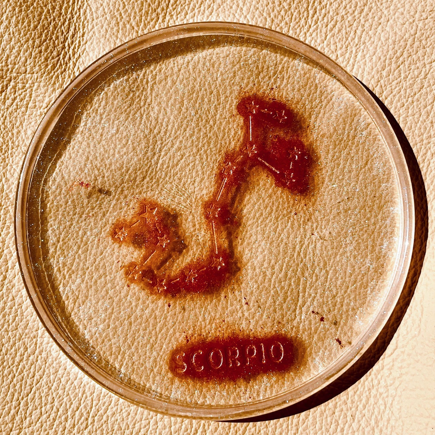 SteamVoyage - sottobicchiere in resina epossidica con costellazione e nome del segno zodiacale
