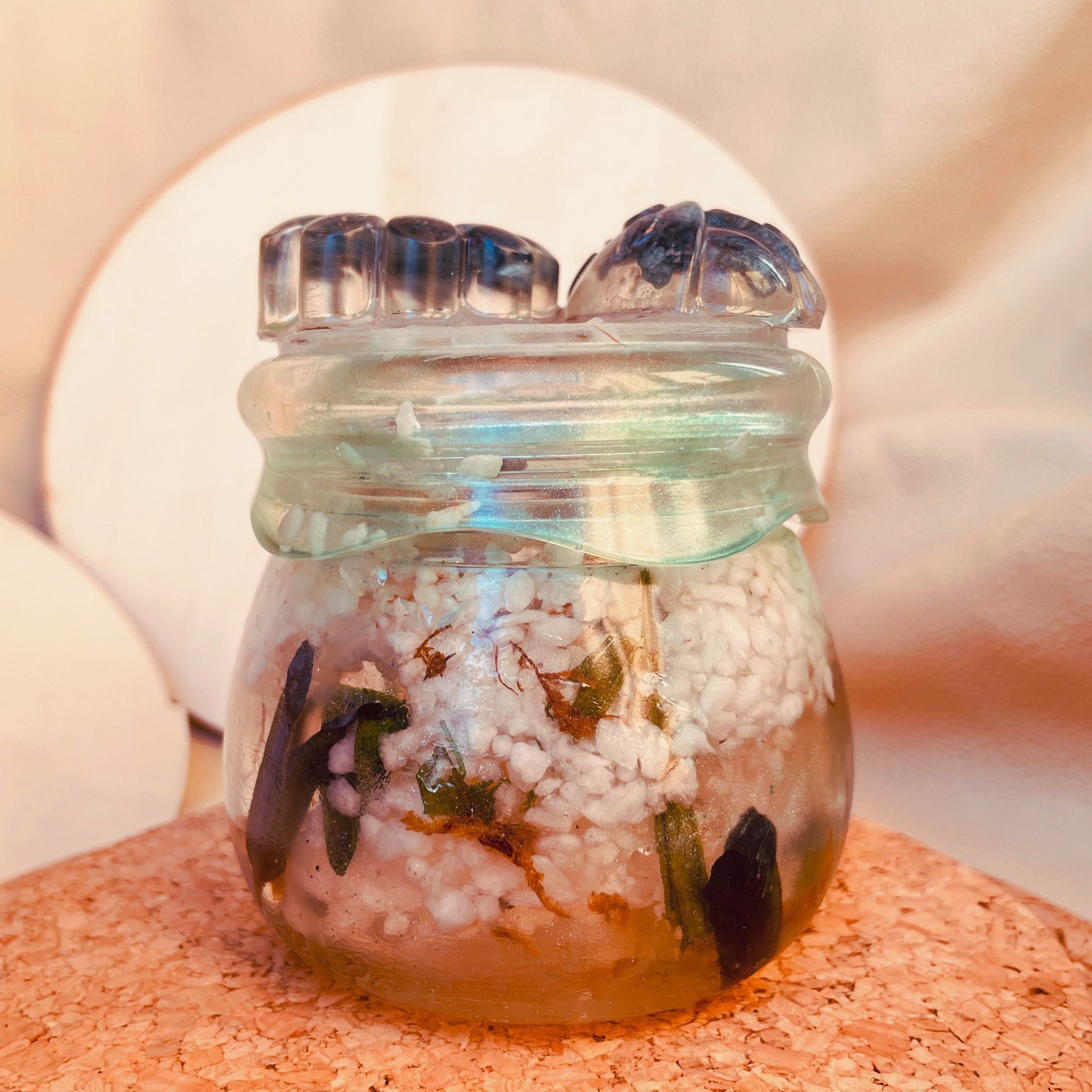 SteamVoyage - vasetto in resina epossidica con tappo a vite per la conservazione di spezie, fiori secchi ed erbe